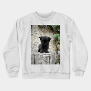 Little black cat Crewneck Sweatshirt